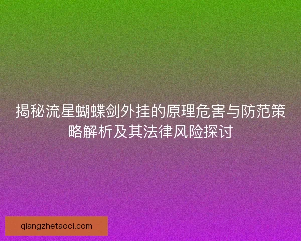 揭秘流星蝴蝶剑外挂的原理危害与防范策略解析及其法律风险探讨